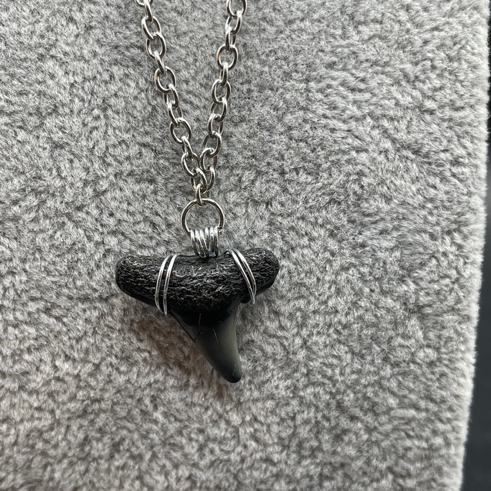 Handmade Shark Tooth Necklace 5/8", Collected in Jupiter, FL, 25-28" Necklace